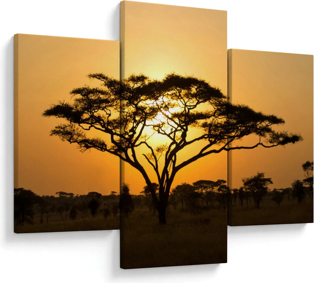 Obraz - Africká savana (90x60 cm)