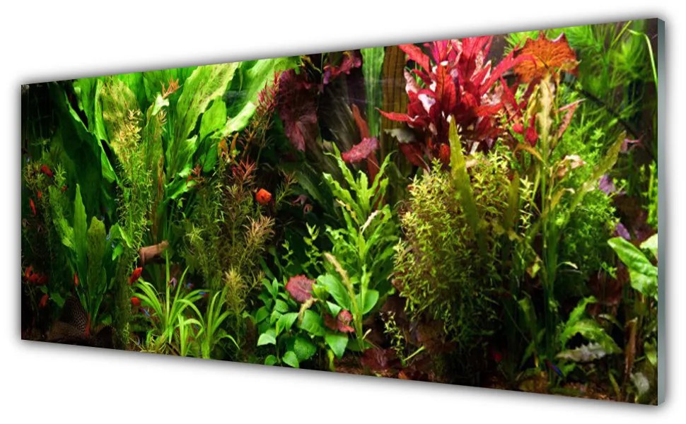 Obraz plexi Rastlina kvety príroda 125x50 cm