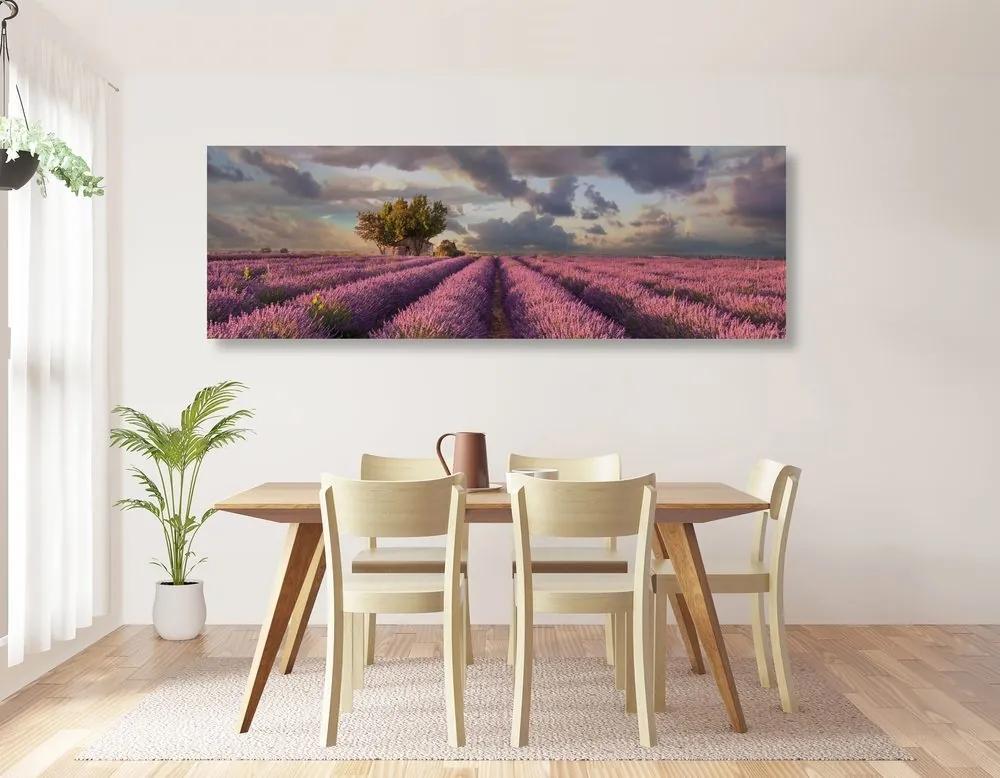 Obraz krajina levanduľových polí - 150x50