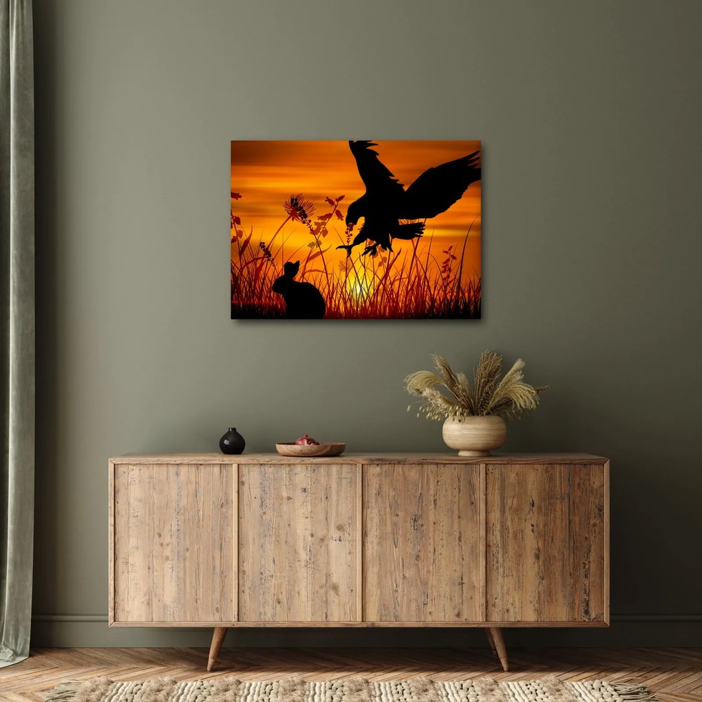 Obraz siluety dravca (70x50 cm)