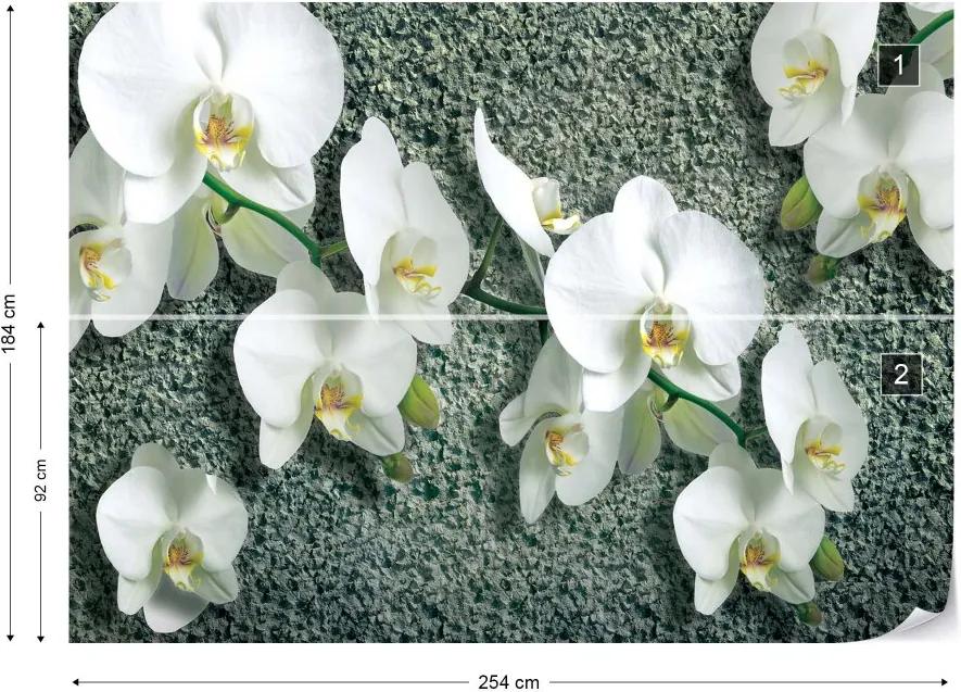 GLIX Fototapeta - Flowers White Orchids Vliesová tapeta  - 254x184 cm