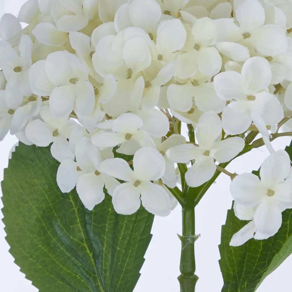FLORISTA Hortenzia 72 cm – biela