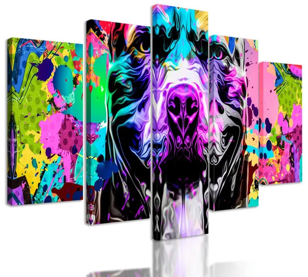 5-dielny obraz pestrofarebné zobrazenie psa
