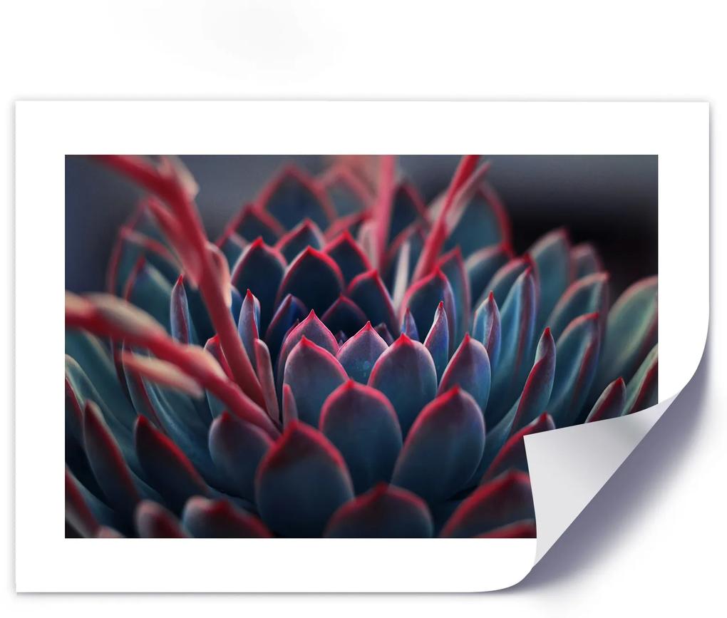 Gario Plagát Krásna rastlina Farba rámu: Bez rámu, Rozmery: 100 x 70 cm