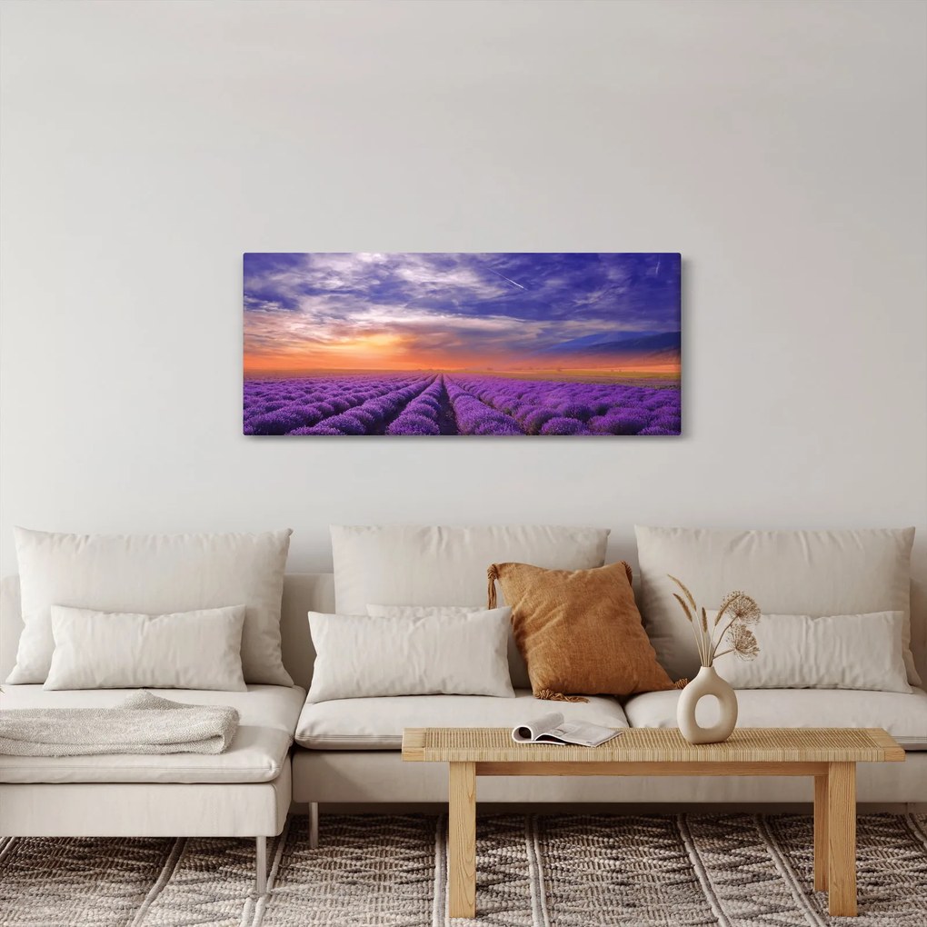Obraz levanduľového pole (120x50 cm)