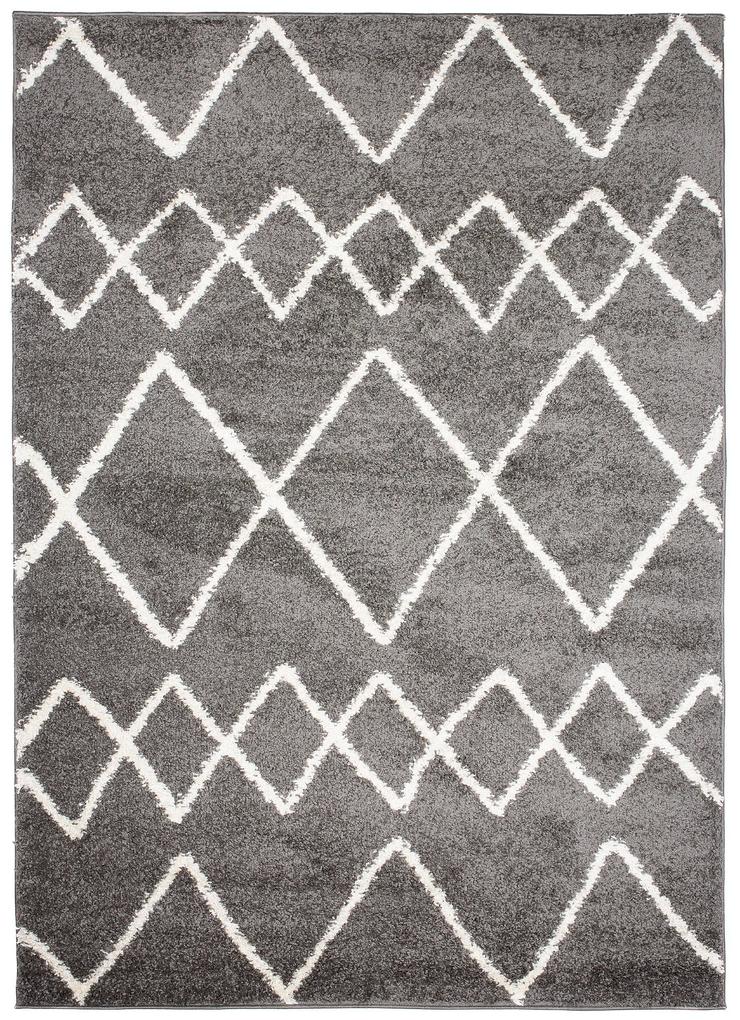Dizajnový koberec WINTER - SHAGGY ROZMERY: 120x170