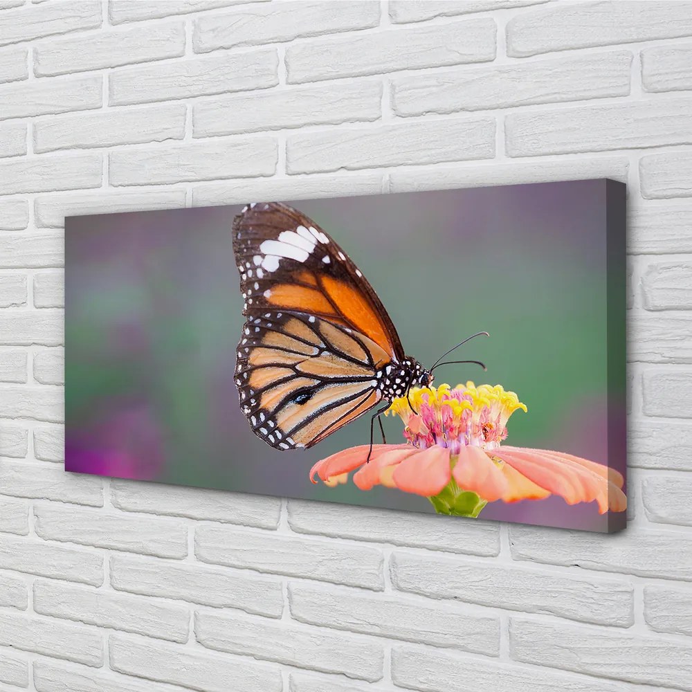 Obraz na plátne Farebný motýľ kvetina 140x70 cm