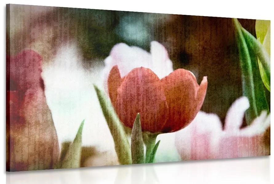 Obraz lúka tulipánov v retro štýle - 120x80