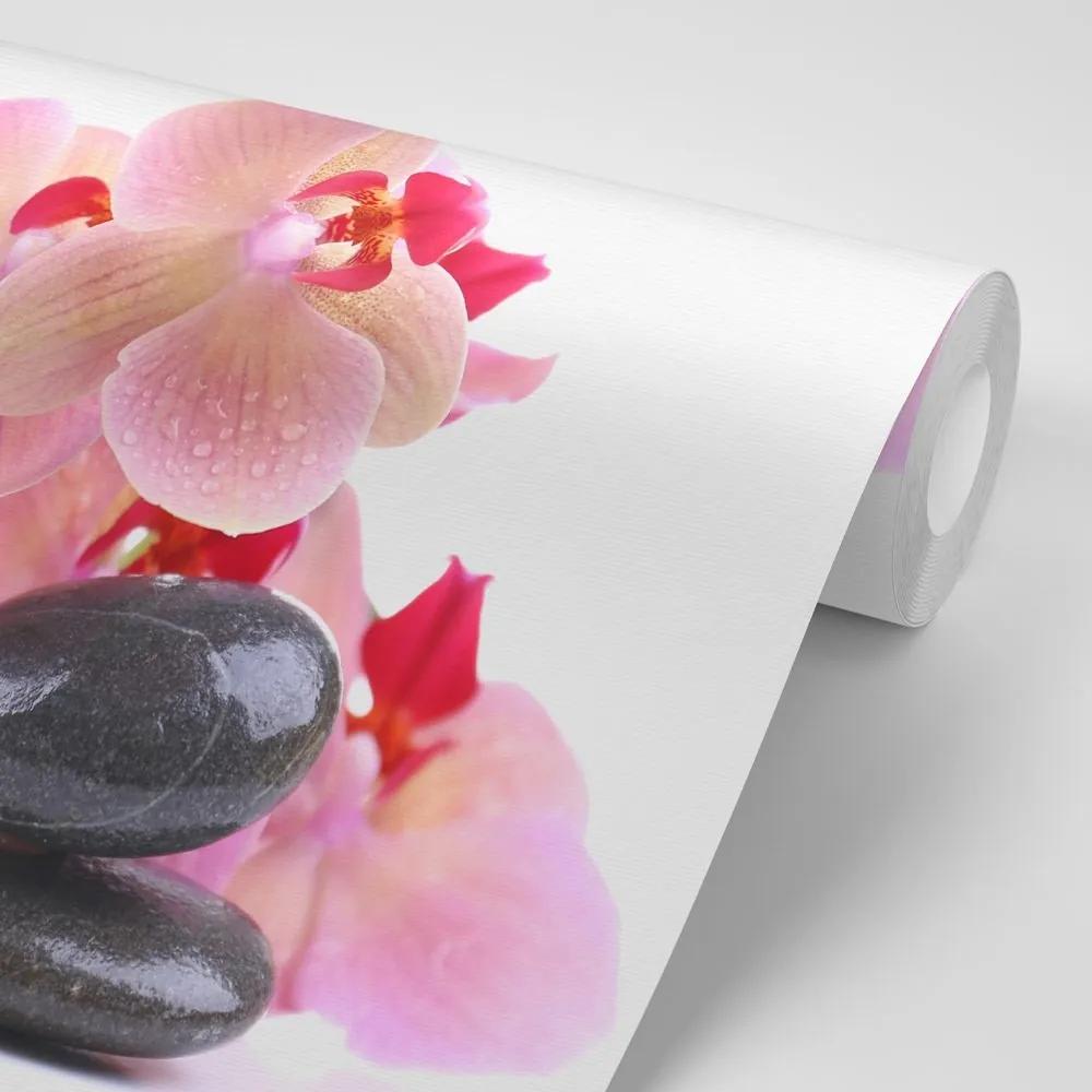 Samolepiaca fototapeta kamene a orchidea - 150x100