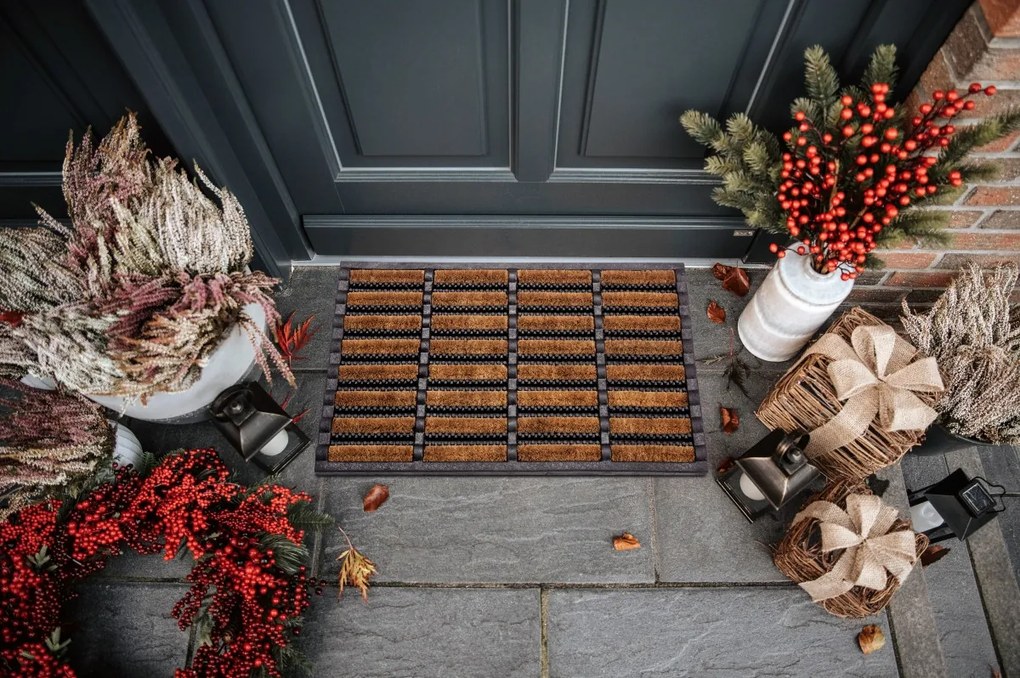 Vonkajšie čistiaci rohožka Mix Mats Brushes 105647 Black Cocos – na von aj na doma, 40x60, hnedá, exteriér, Hanse Home