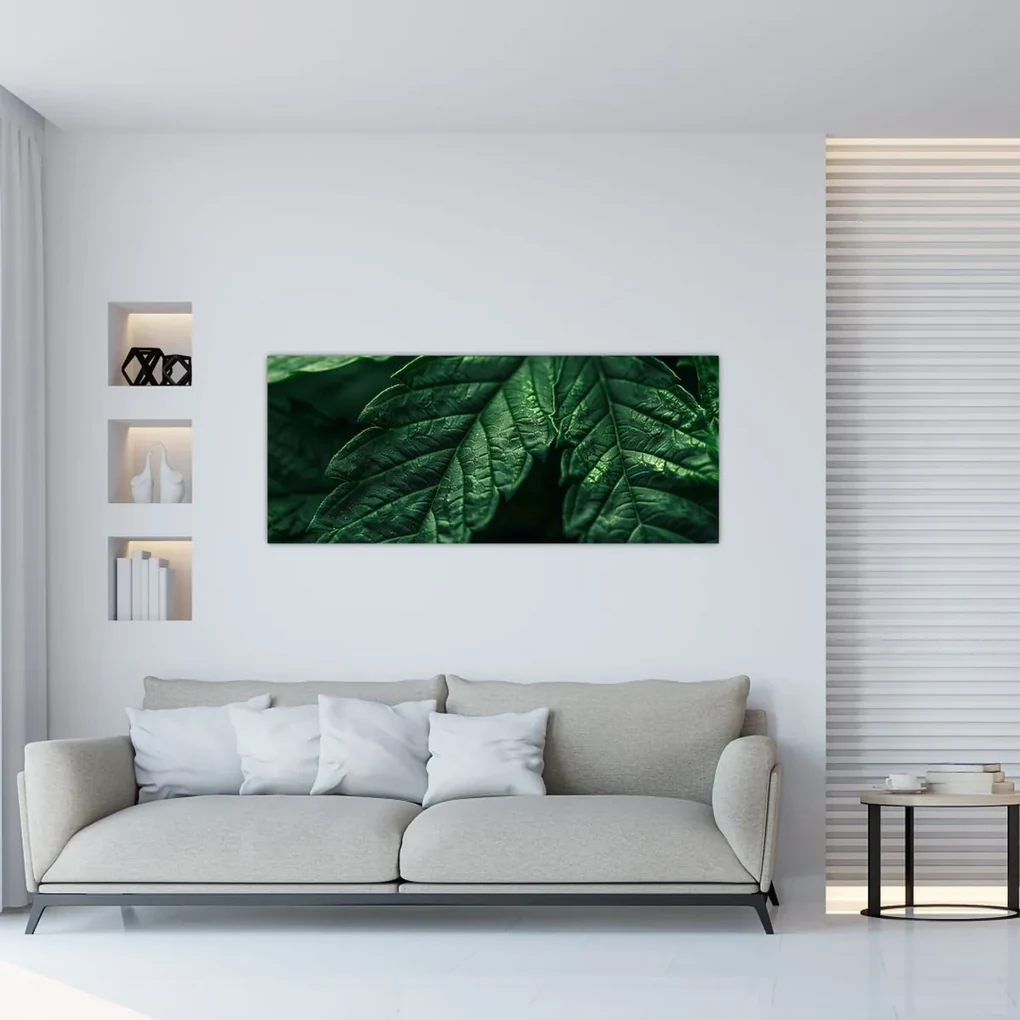 Obraz - Detail hárku (120x50 cm)