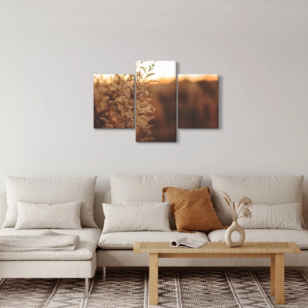 Obraz kvitnúcej trávy (90x60 cm)