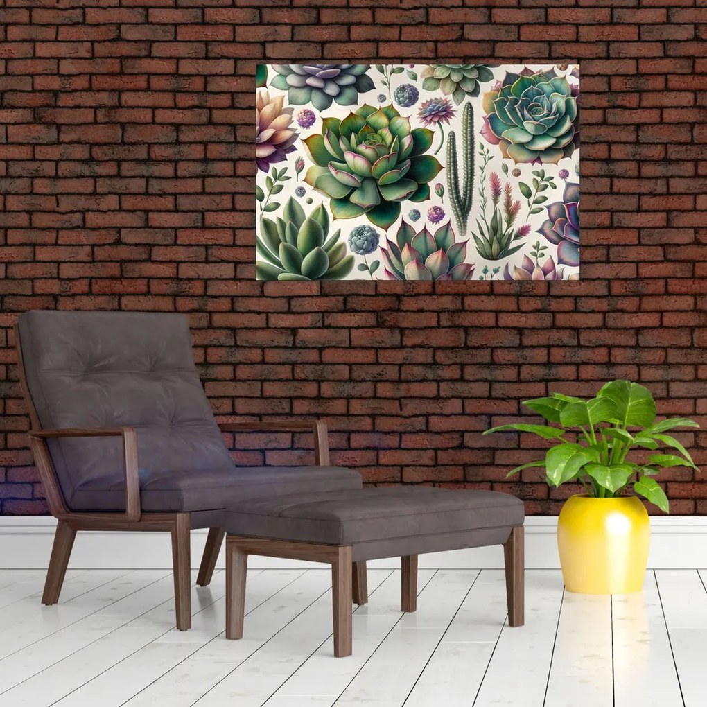 Obraz - Sukulenty (90x60 cm)