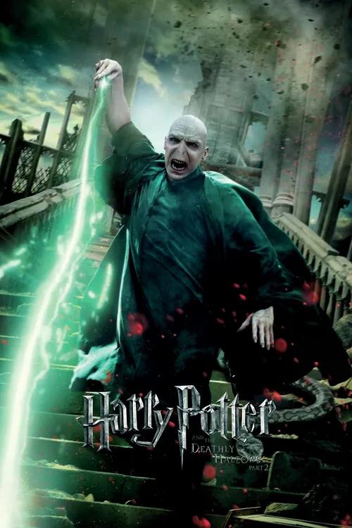 Umelecká tlač Voldemort, (26.7 x 40 cm)