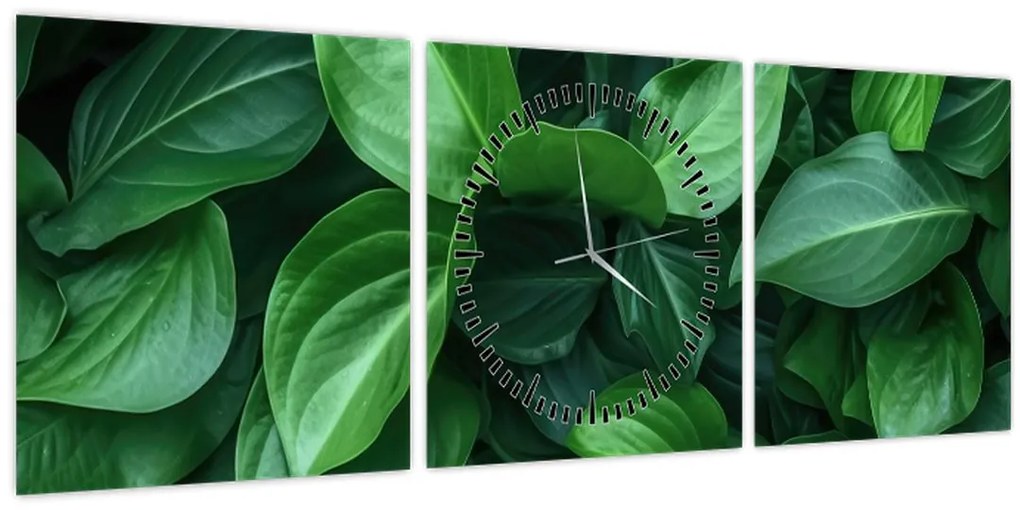 Obraz - Zelené listy (s hodinami) (90x30 cm)