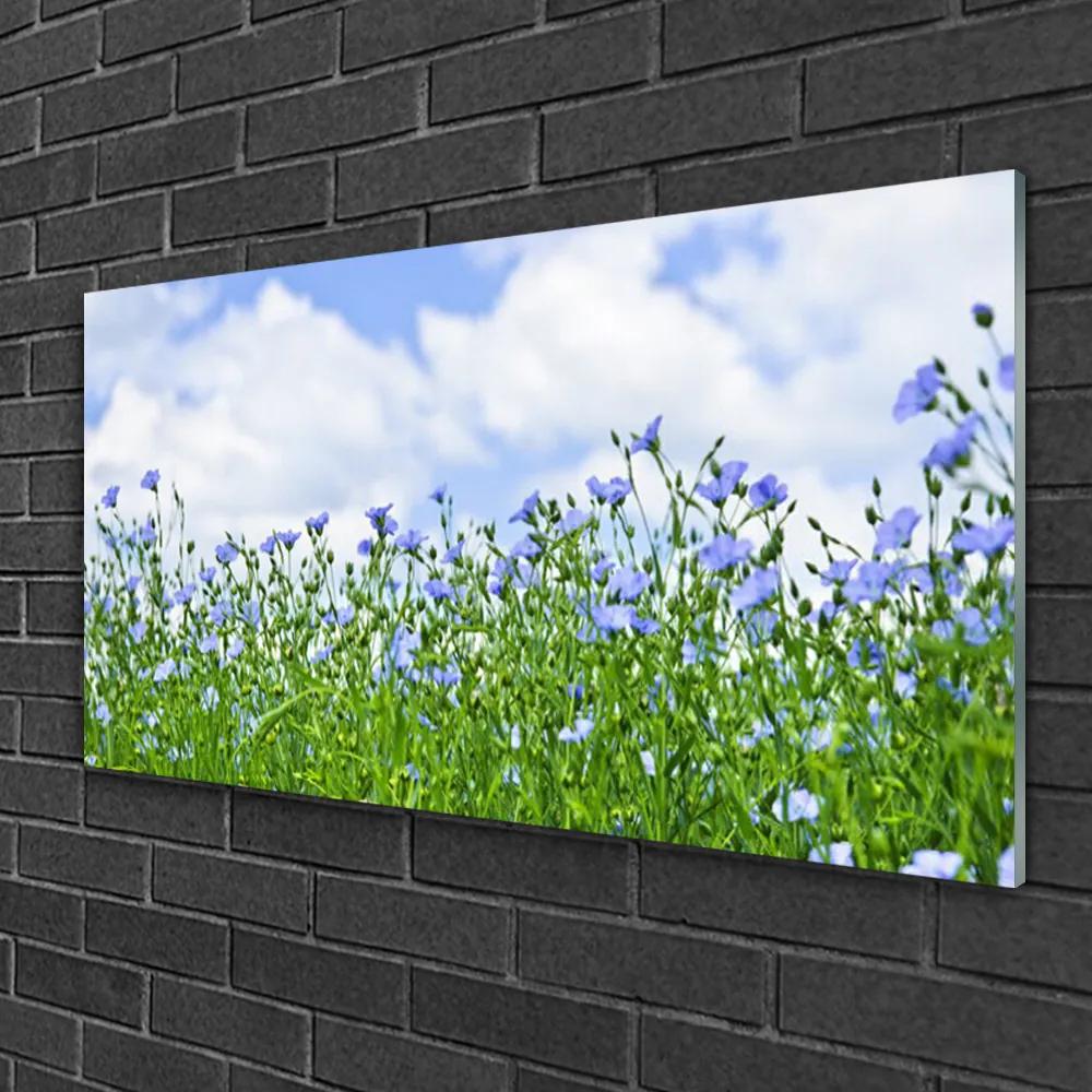Obraz na skle Kvety rastlina príroda 120x60 cm