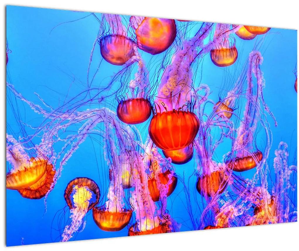 Obraz medúz v mori (90x60 cm)