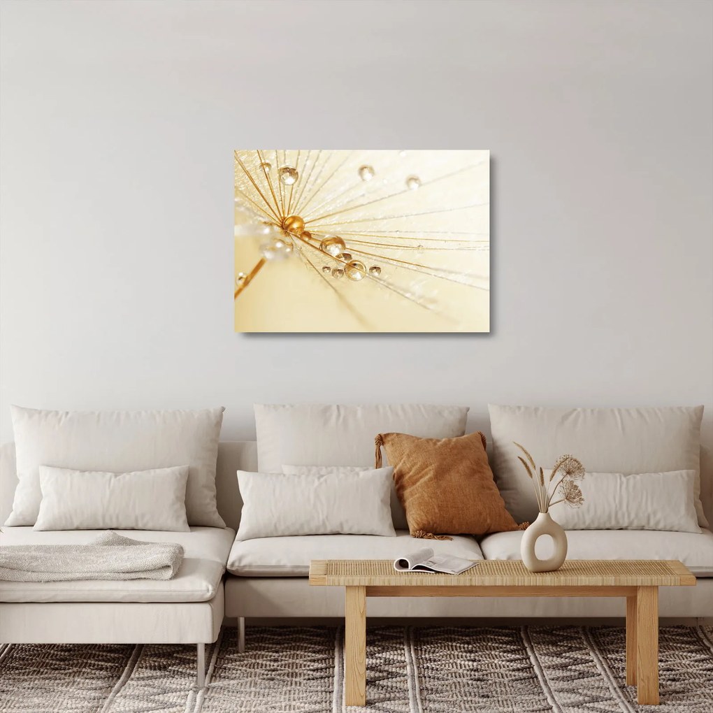 Sklenený obraz - Makro fotografie púpavy (70x50 cm)