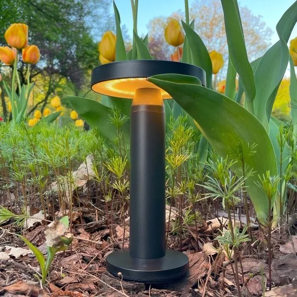 Zuma Line DT33611 - LED Solárna lampa CARLI LED/2W/2000 mAh IP44 čierna