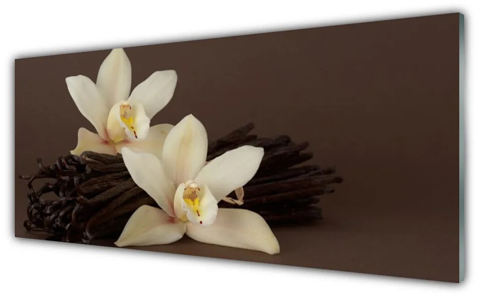 Skleneny obraz Kvety vanilky do kuchyne 125x50 cm