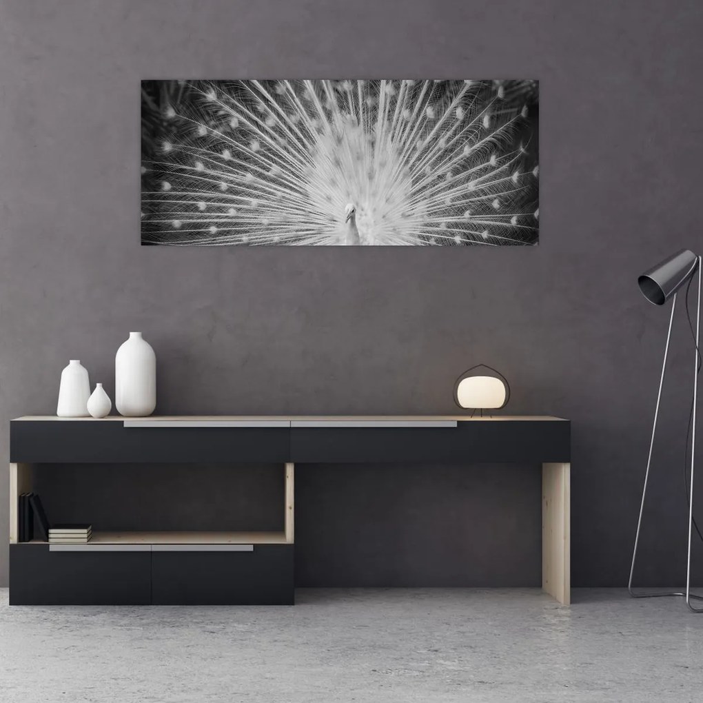 Obraz - Biely páv (120x50 cm)