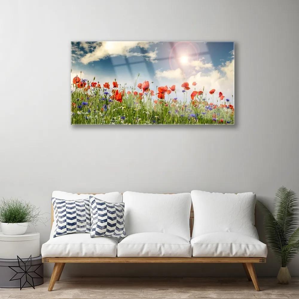 Skleneny obraz Lúka kvety slnko príroda 120x60 cm