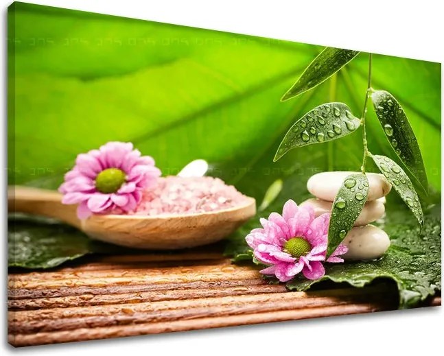 Obraz na stenu FENG SHUI FS021E11