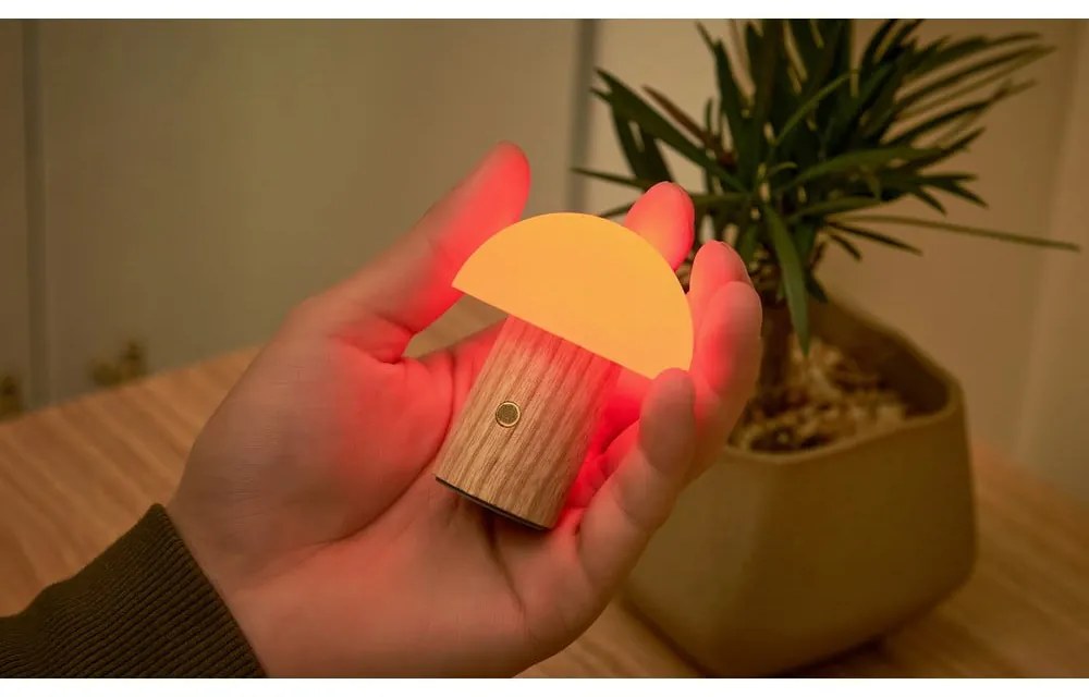 LED stolová lampa z jaseňového dreva so stmievačom v prírodnej farbe (výška 7 cm) Alice – Gingko