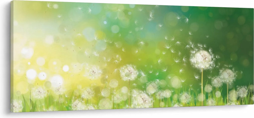 Obraz - Odkvitnuté púpavy (120x50 cm)