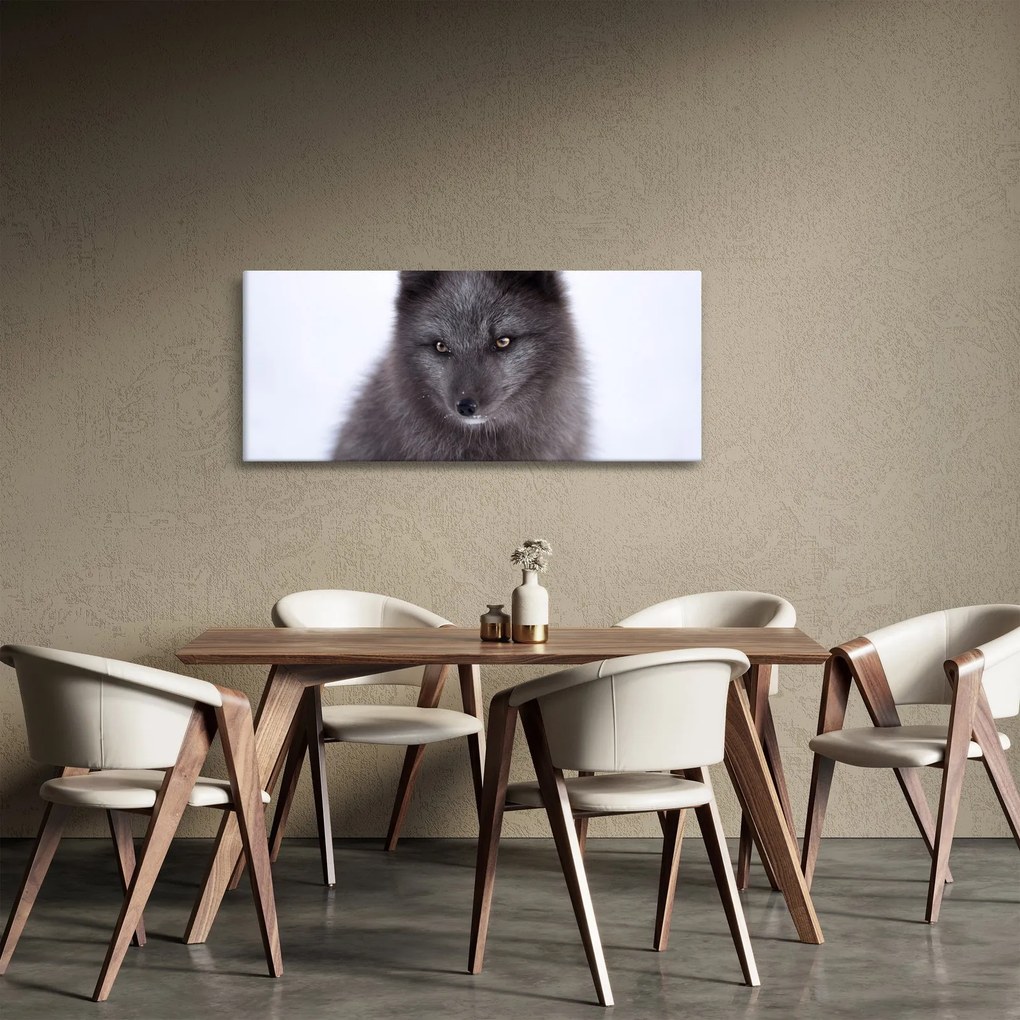 Obraz snežné líšky (120x50 cm)