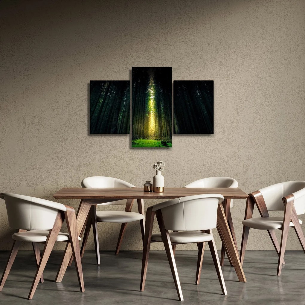 Obraz temného lesa (90x60 cm)