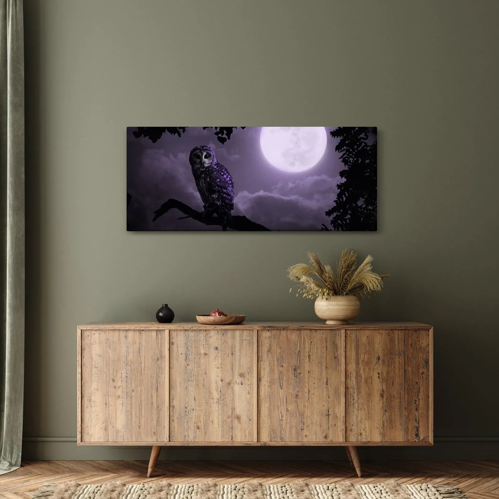 Obraz - Nočná sova, fialová (120x50 cm)
