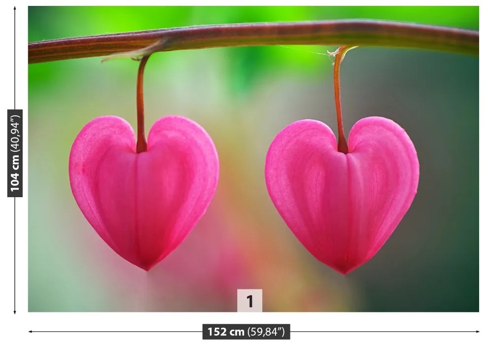 Fototapeta Vliesová Kvetinové srdce 104x70 cm