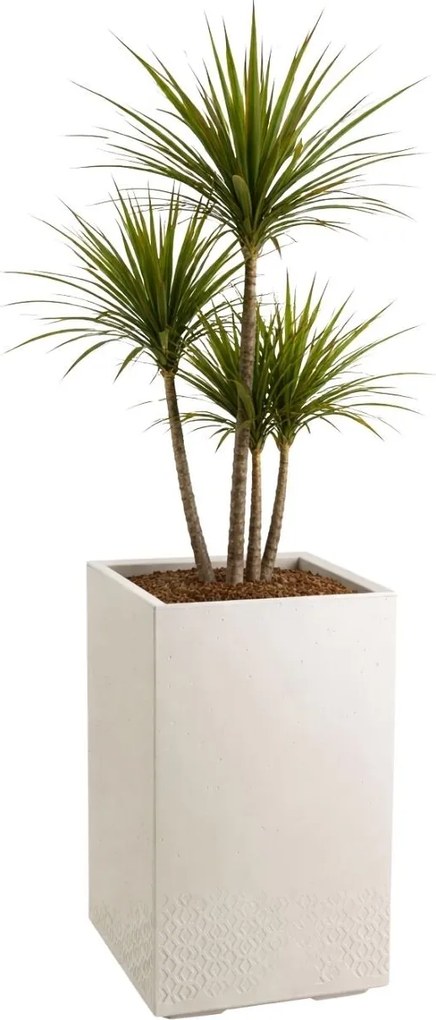 Sada 2 ks květináčů BETONIQUE 40x40/60x40 cm béžová