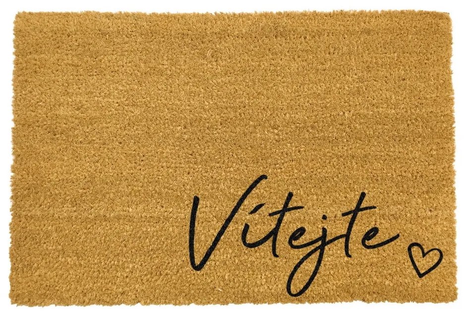 Rohožka z prírodného kokosového vlákna Artsy Doormats Vítejte, 40 x 60 cm