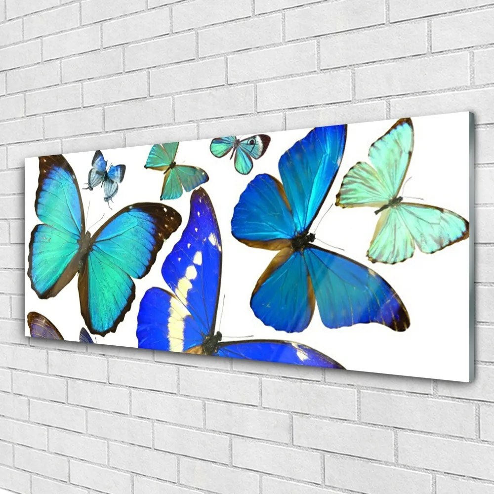 Obraz na akrylátovom skle Motýle príroda 125x50 cm