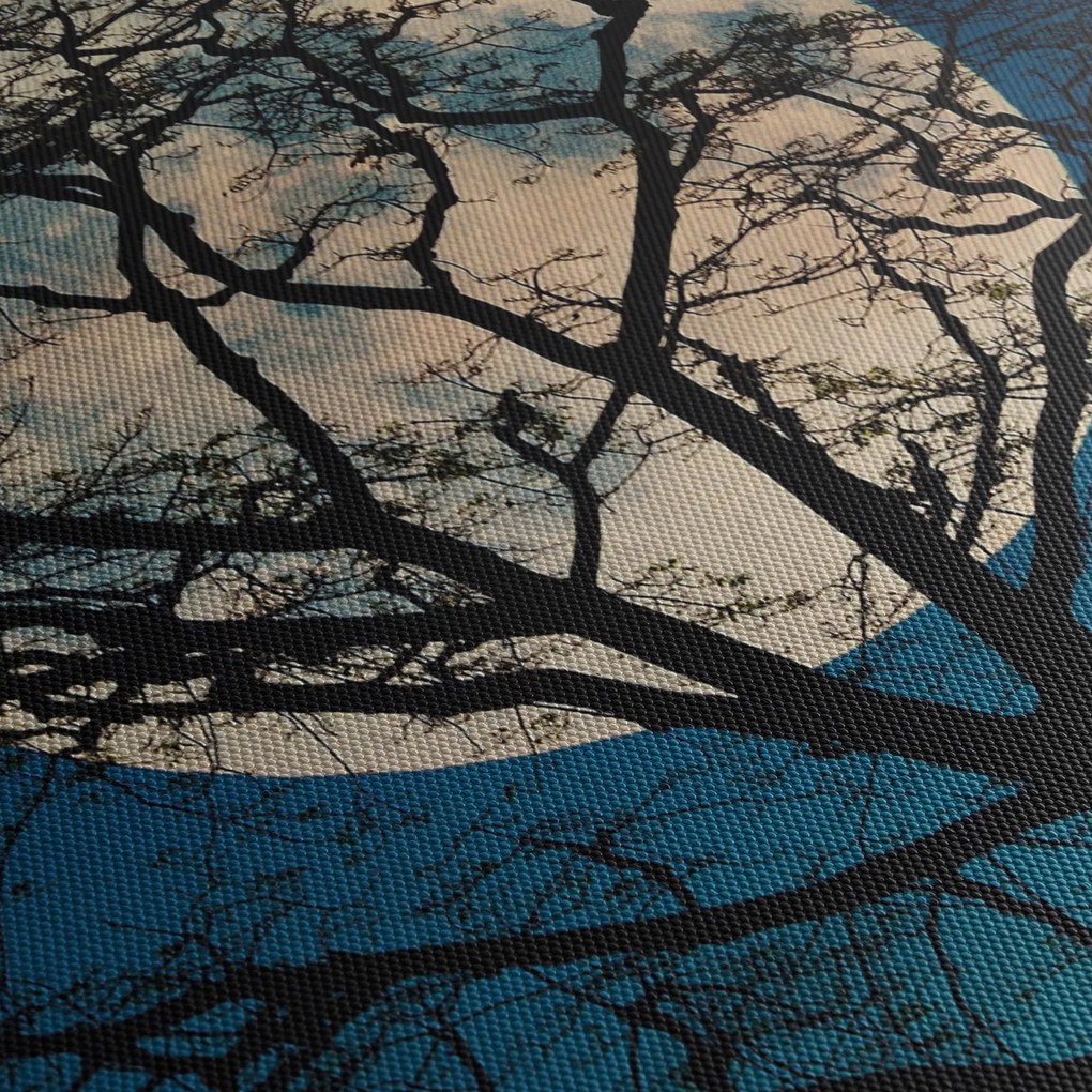 Obraz stromu so splnom (150x105 cm)