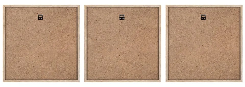 Obrazy v súprave 3 ks 30x30 cm Pampas – Styler