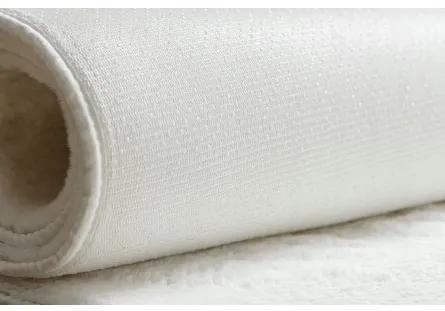 Sammer Kvalitný biely shaggy koberec v bielej farbe C317 160 x 220 cm