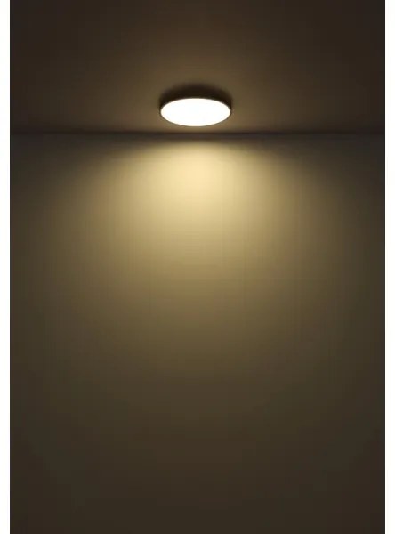 Globo 41566-32S - LED Stropné svietidlo NIELSEN LED/32W/230V pr. 40 cm čierna