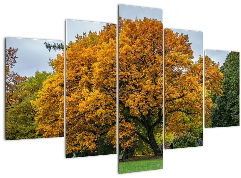 Obraz stromu (150x105 cm)