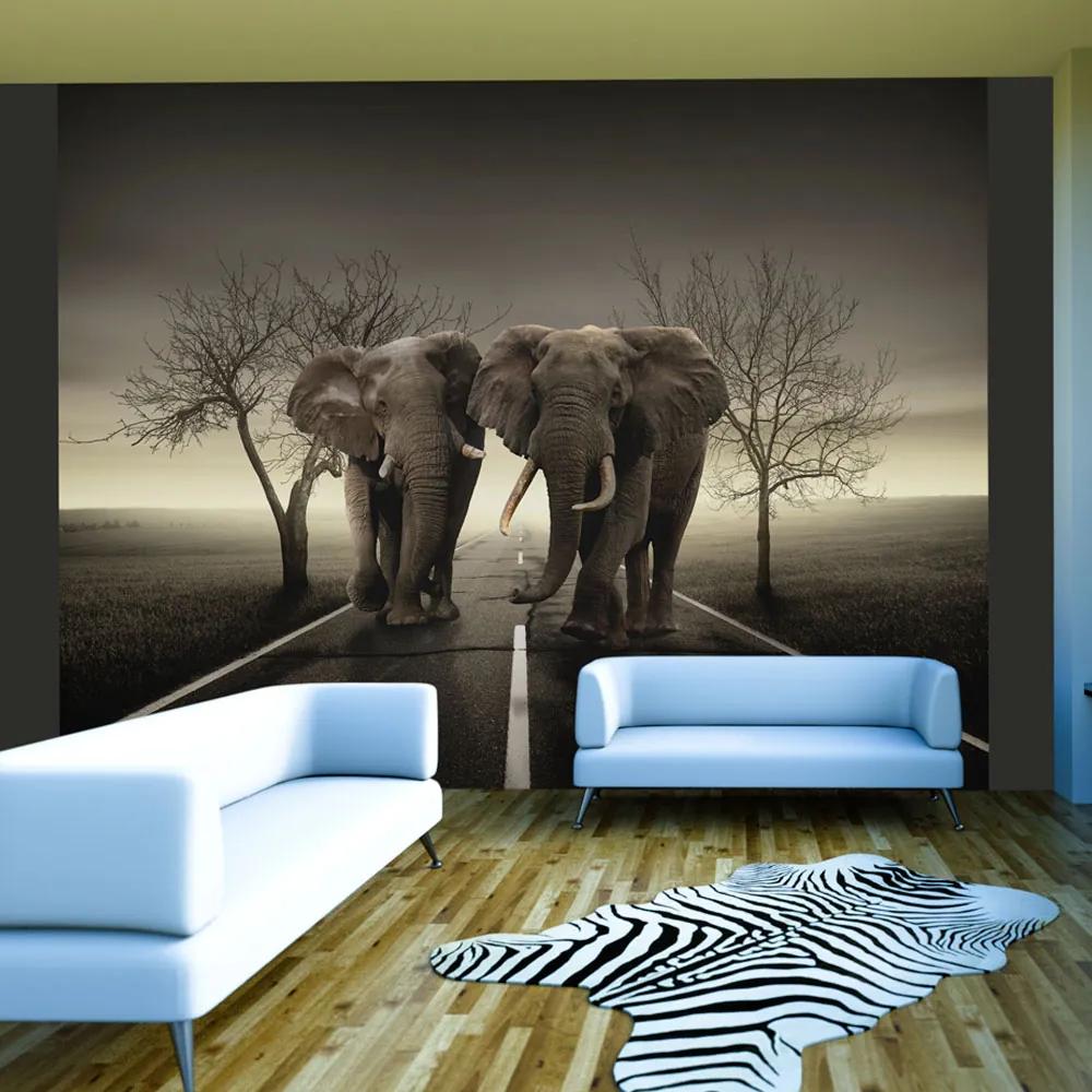 Artgeist Fototapeta - City of elephants Veľkosť: 200x154, Verzia: Premium