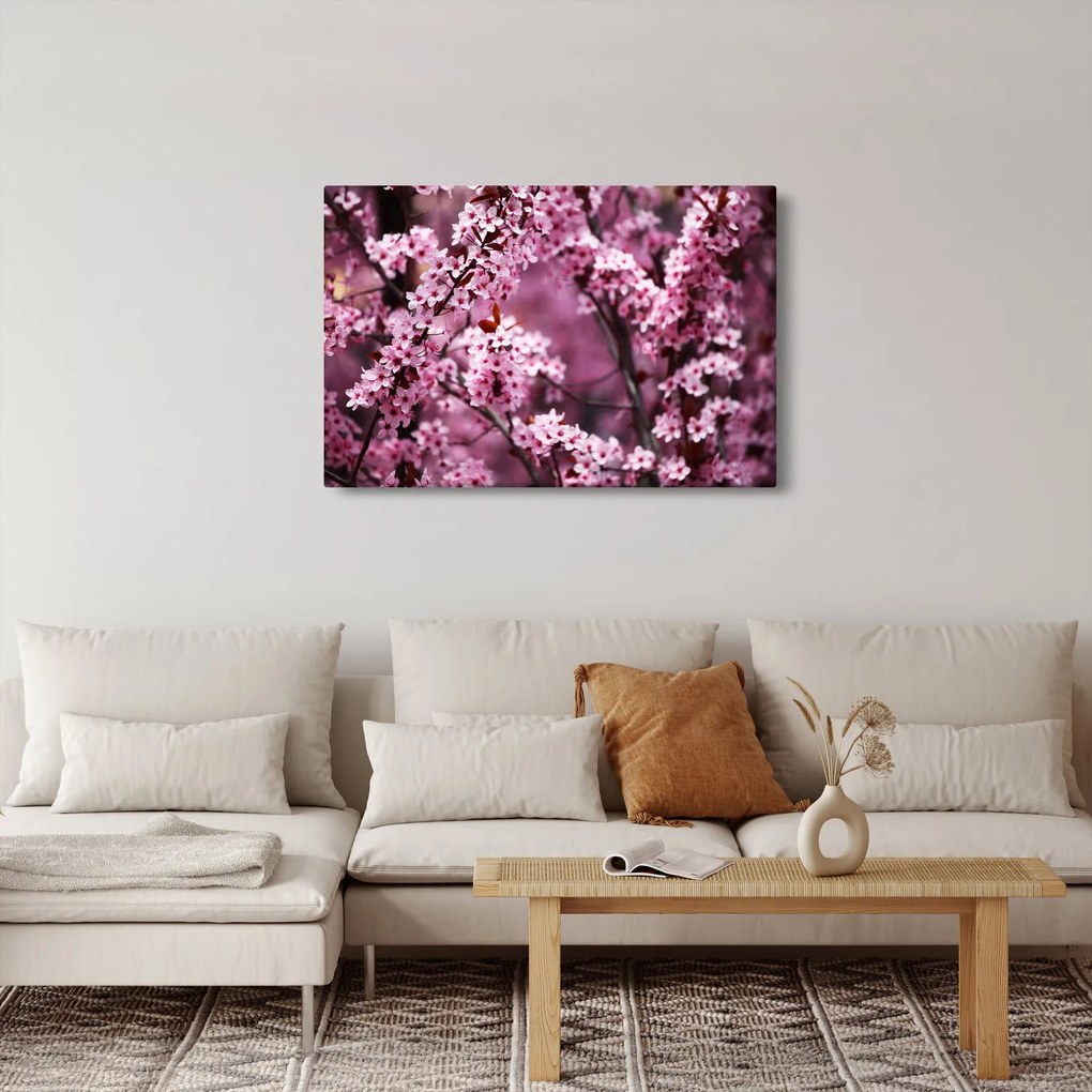 Obraz - Ružová sakura (90x60 cm)