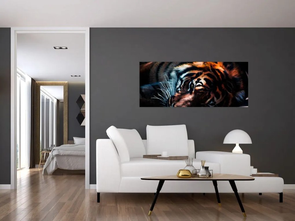 Obraz ležiaceho tigra (120x50 cm)