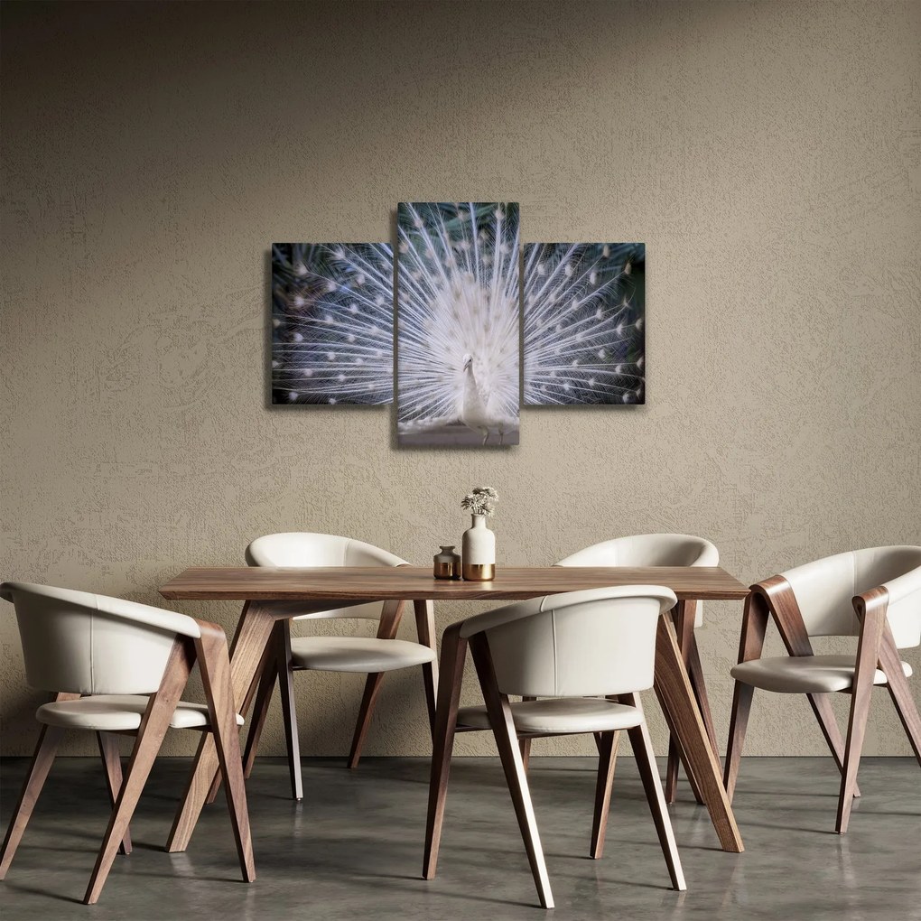 Obraz - Biely páv (90x60 cm)