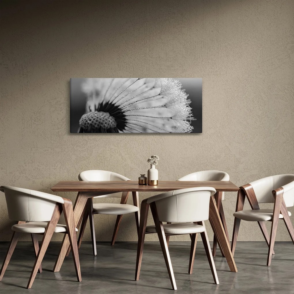 Obraz púpavy - čiernobiely (120x50 cm)