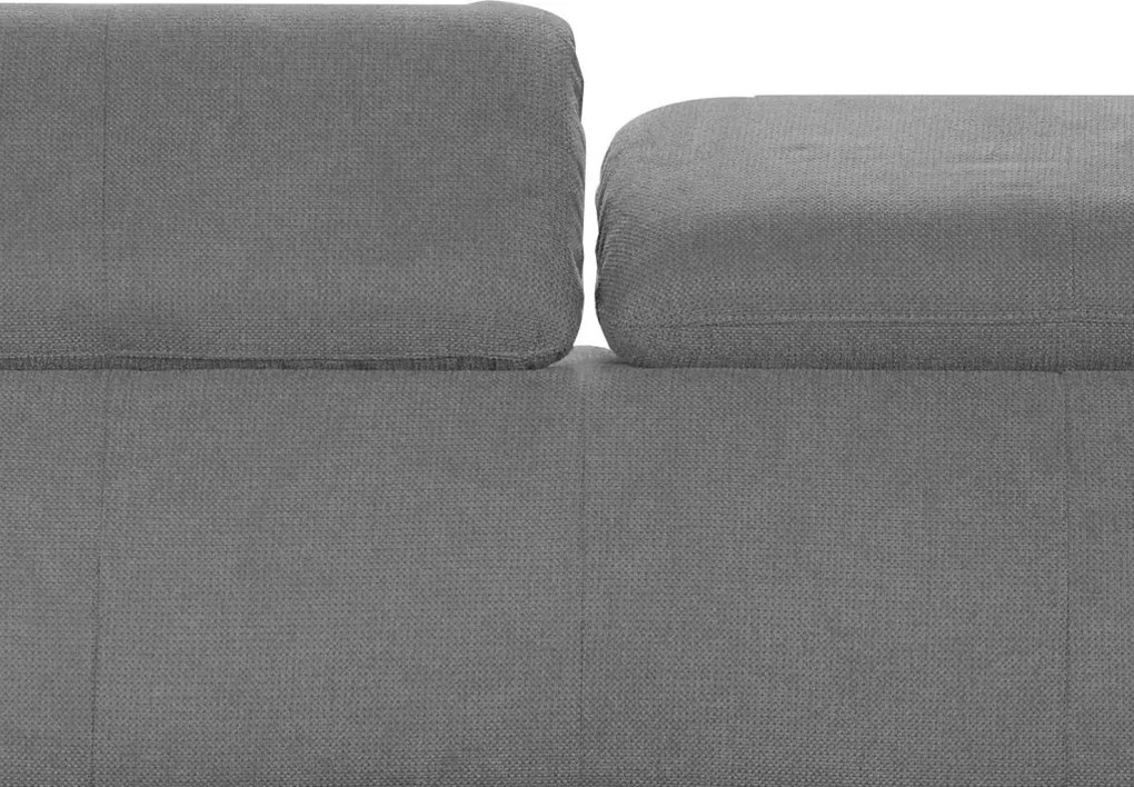 Dvojsedák Gisele, stredne šedá