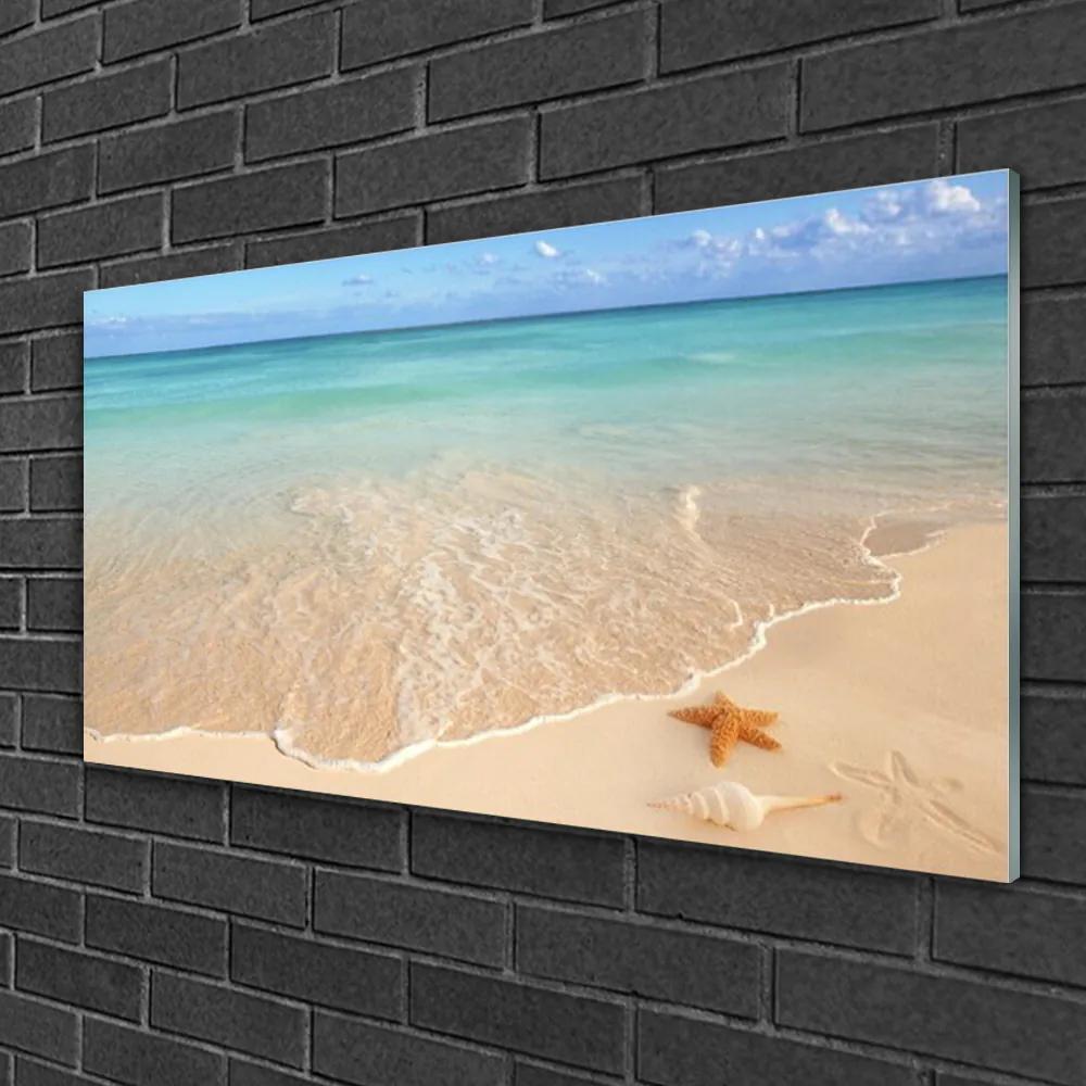 Obraz na skle Pláž hviezdice príroda 140x70 cm
