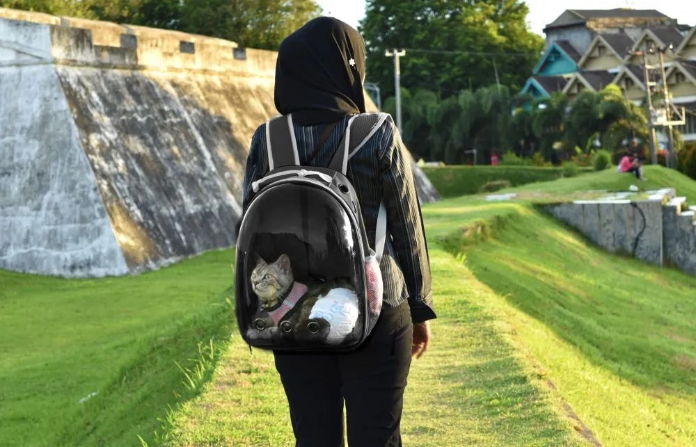 Transportný batoh so sklom pre mačku alebo psa - čierny