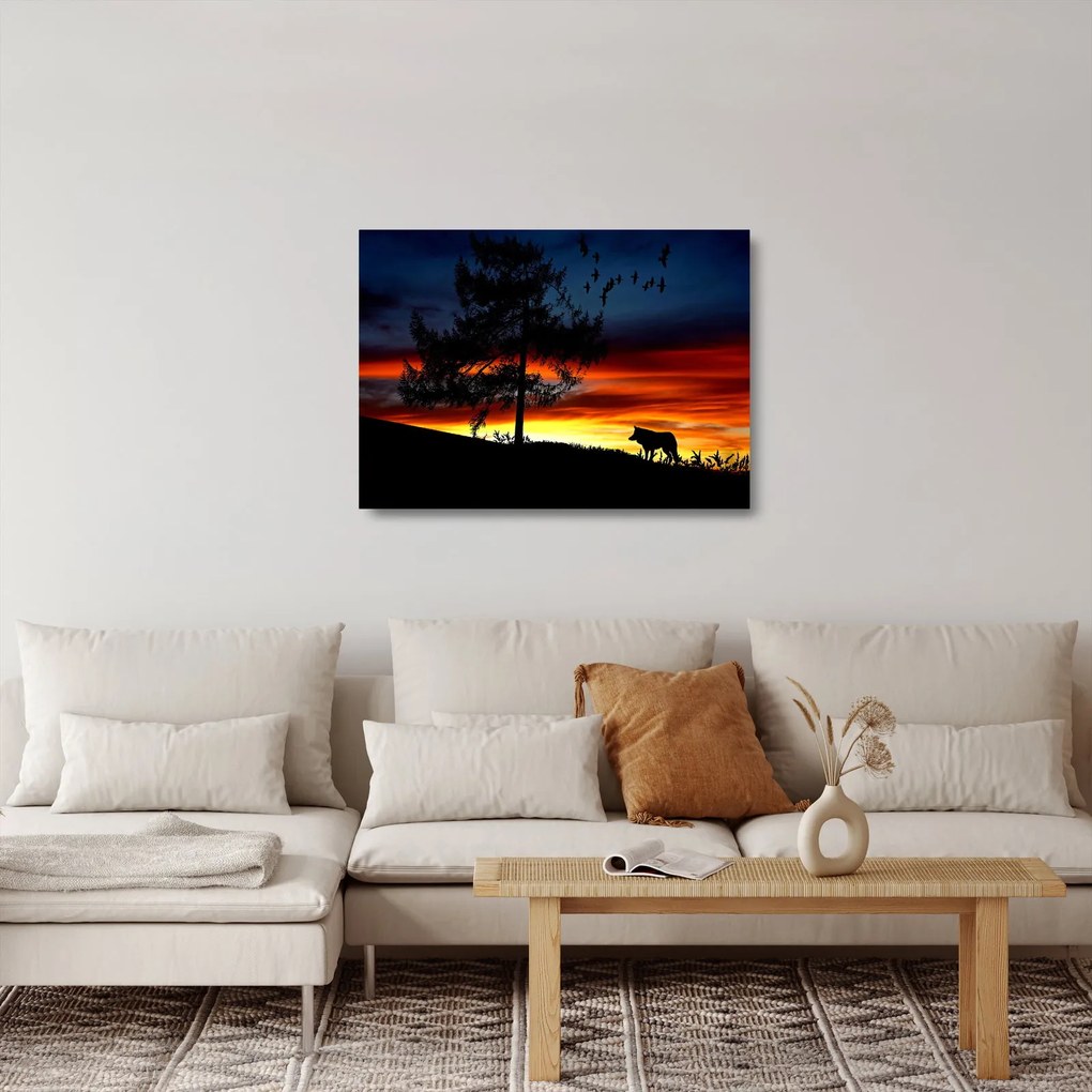 Sklenený obraz - Silueta vlka (70x50 cm)